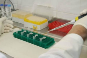 registro-provincial-de-datos-geneticos