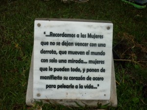 Inspección_ocular_placa