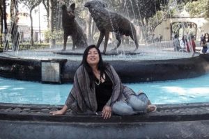 Diana sacayan detenidos