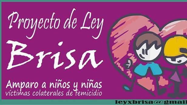 ley brisa