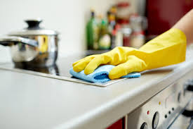 empleadas domesticas aumento